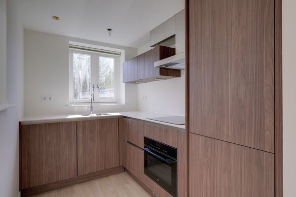 House Image 3
