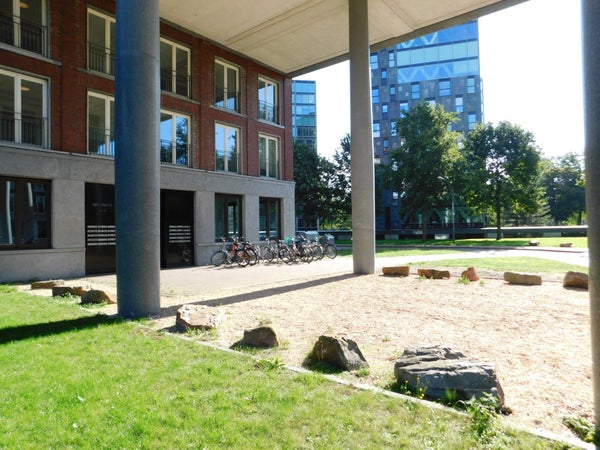 House Exterior