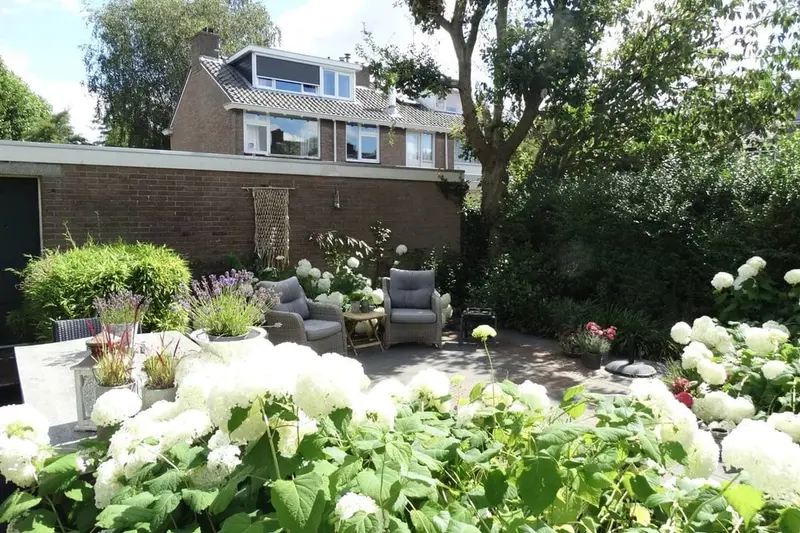 House Image 5