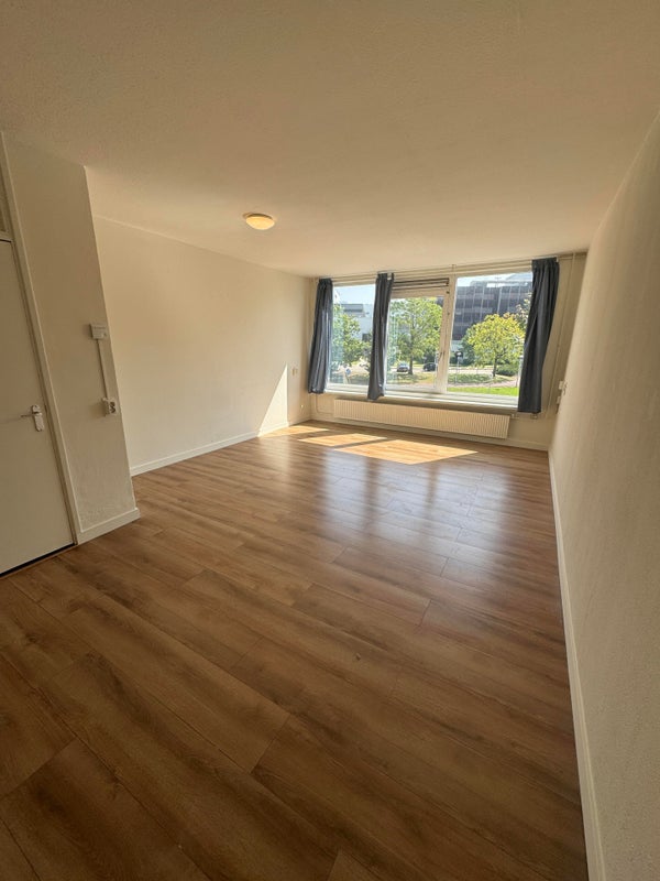 House Image 3