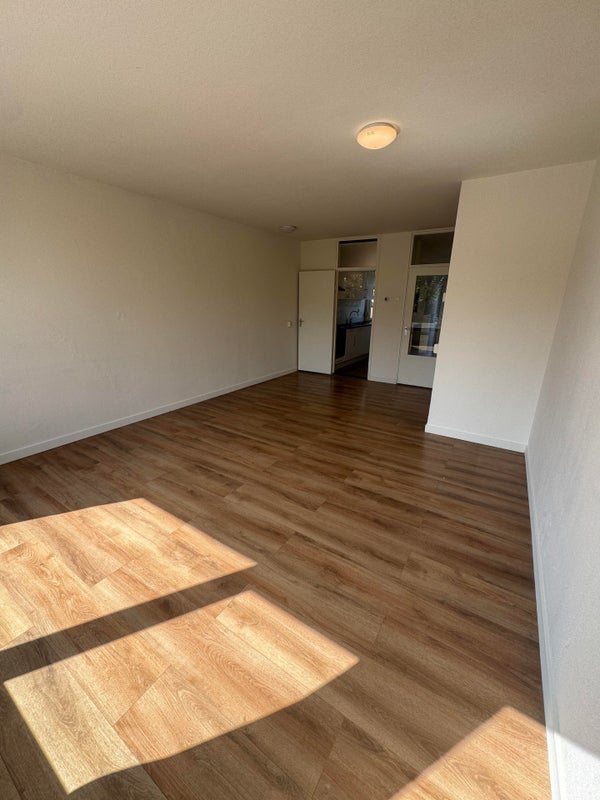 House Image 4