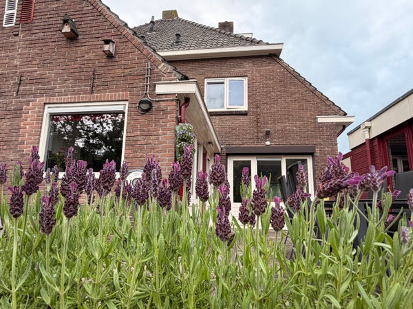 House Exterior