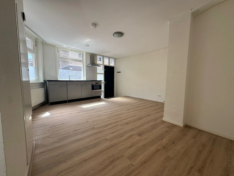 House Image 4