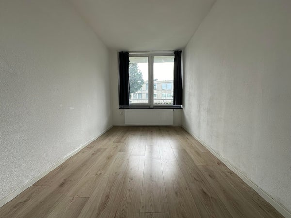 House Image 3