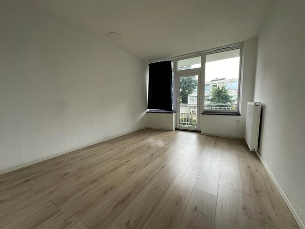 House Image 4