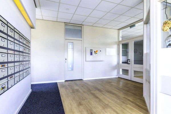 House Image 4