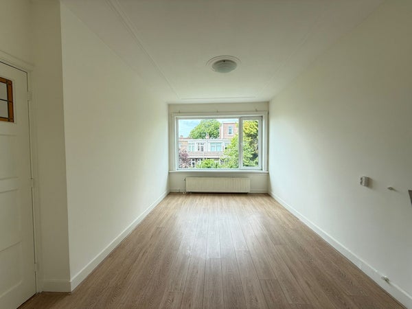 House Image 3