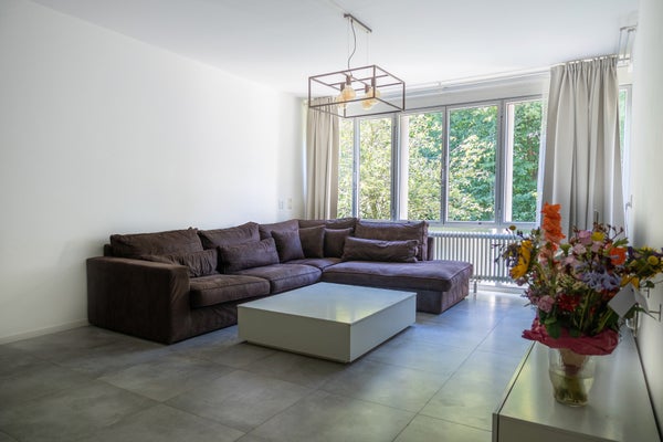 House Image 3