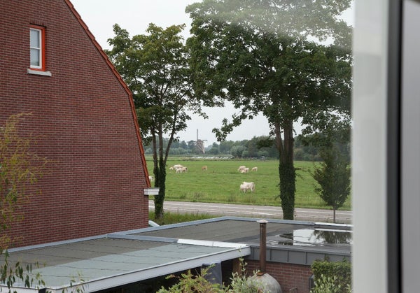 House Exterior