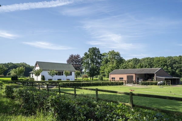 House Image 3