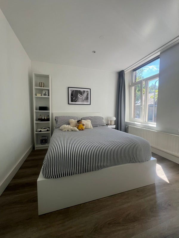 House Image 4