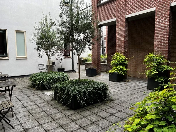House Image 2