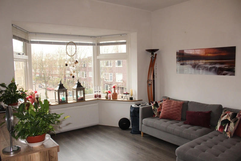 recent house