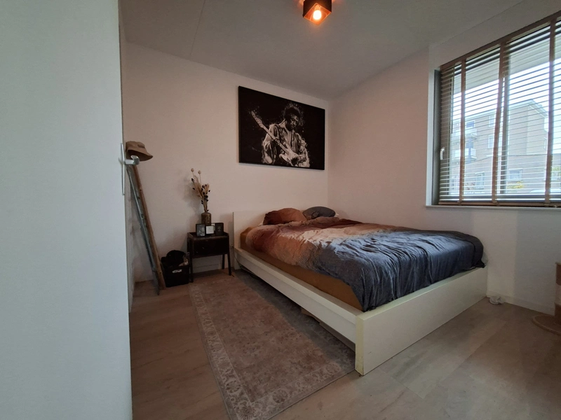 House Image 5