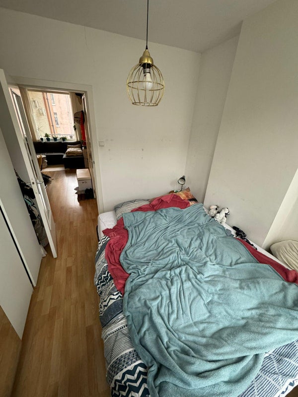 House Image 3
