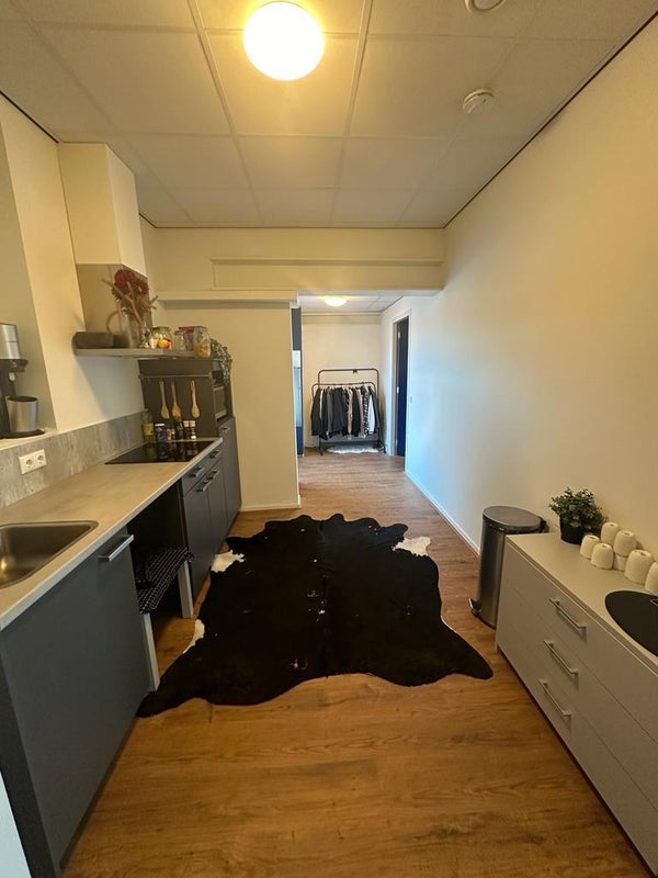 House Image 2