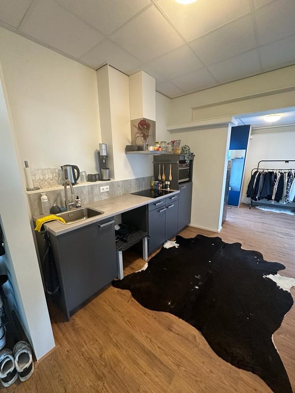 House Image 3