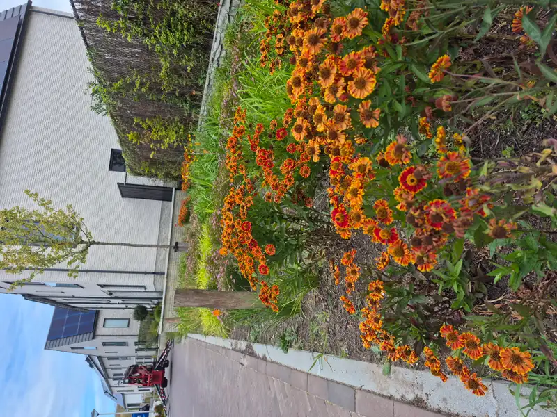 House Exterior