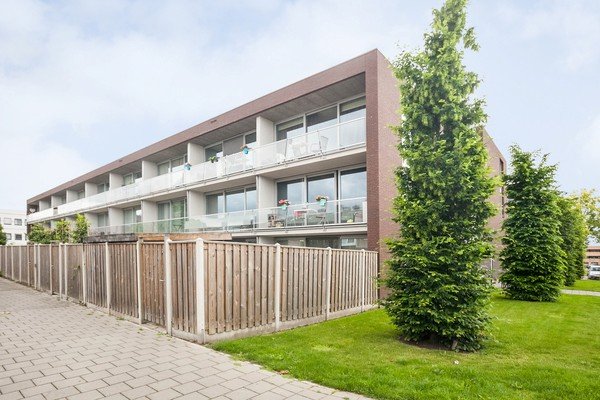 House Image 5