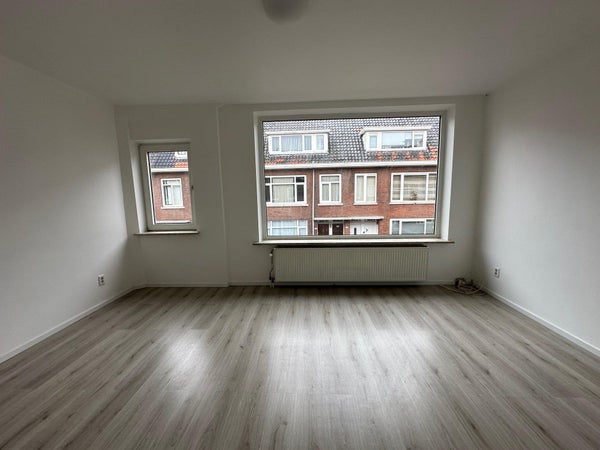 House Image 3