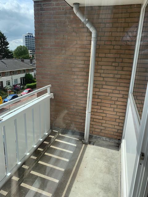 House Image 5