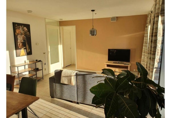House Image 4