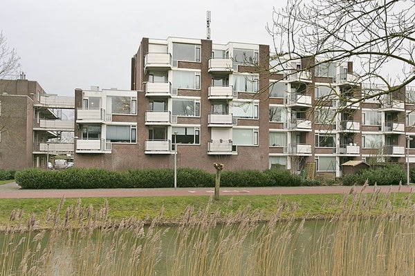 House Image 3