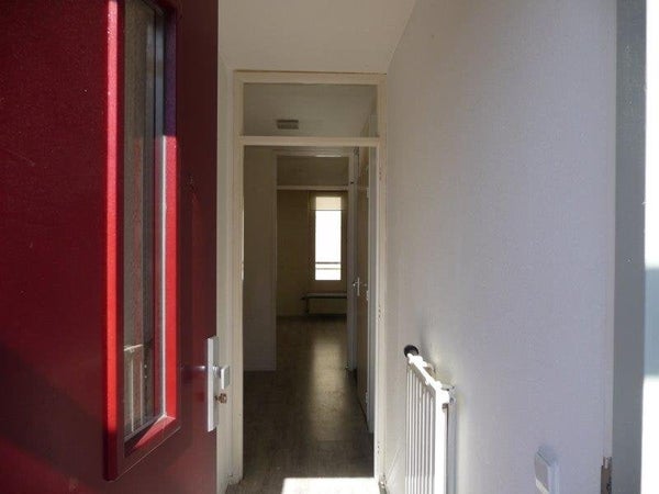 House Image 3
