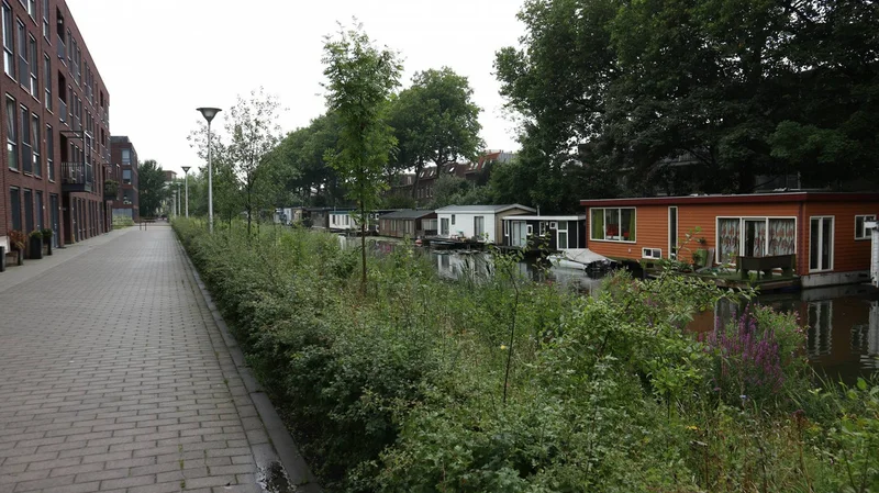 recent house