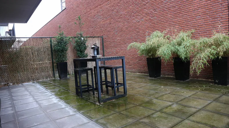 House Image 4