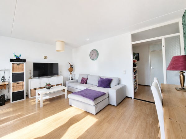 House Image 3