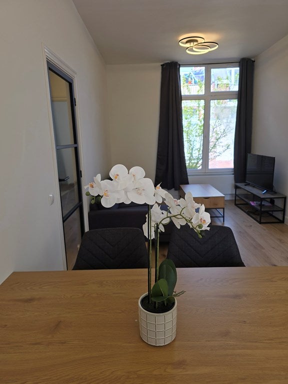 House Image 5