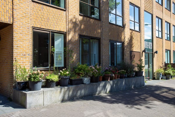 House Exterior