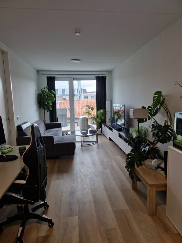 House Image 2