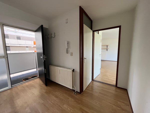 House Image 3