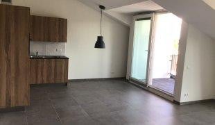 House Image 3