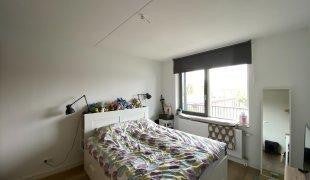 House Image 5