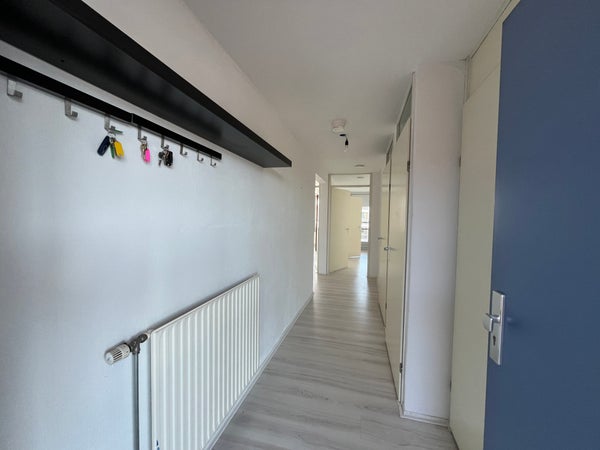 House Image 4