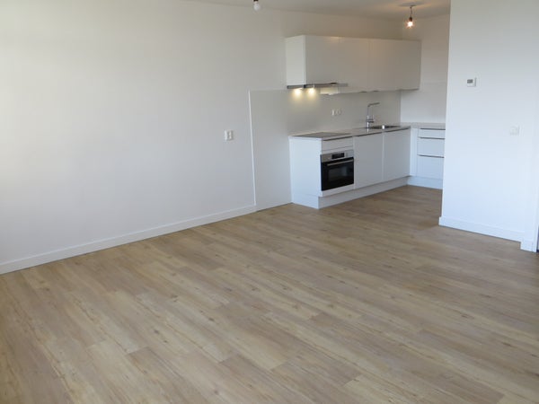 House Image 3