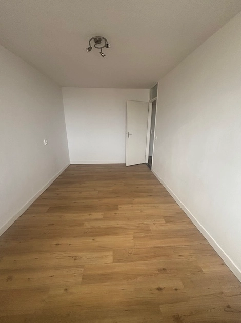 House Image 5