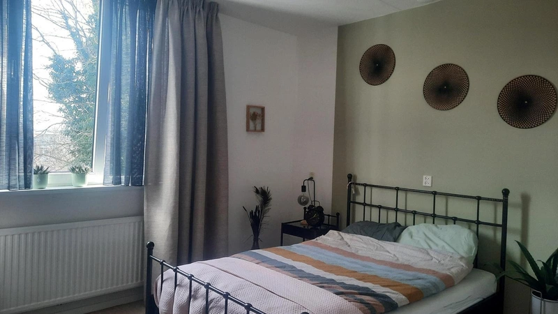 House Image 5