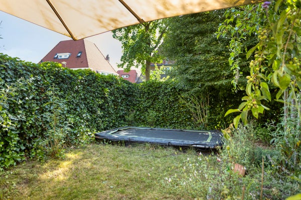 House Image 4