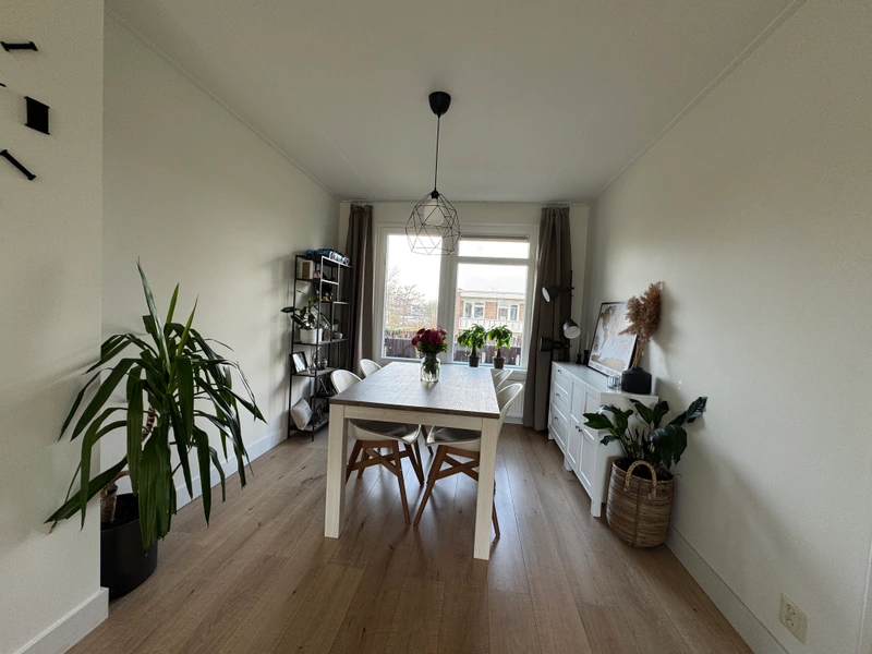 House Image 5
