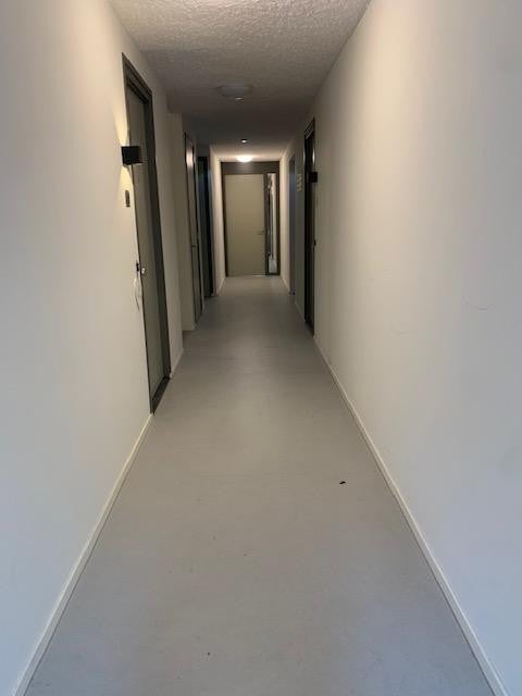 House Image 4