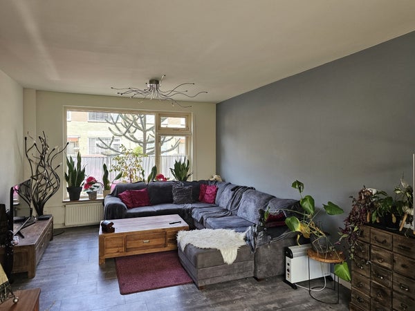 House Image 2