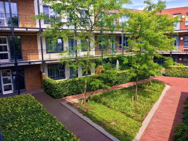 House Image 4