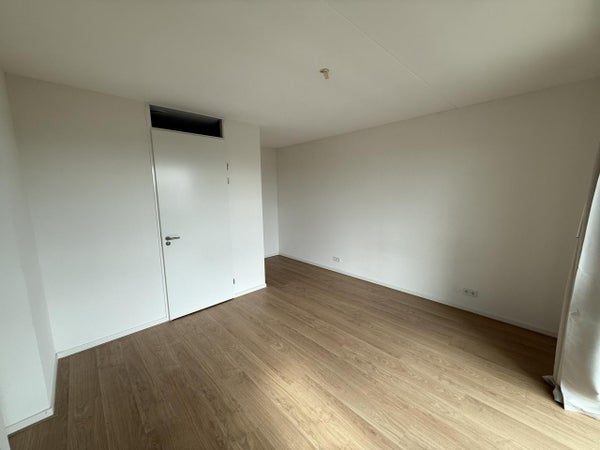 House Image 3