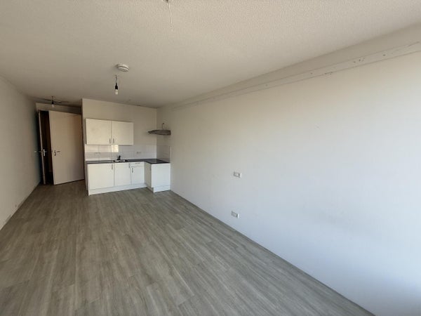 House Image 4