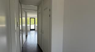 House Image 4