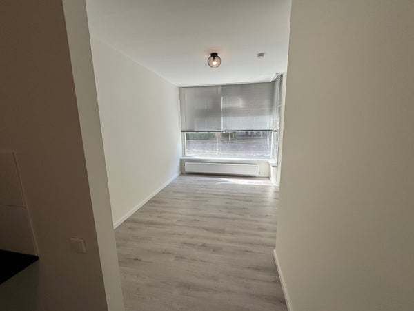 House Image 4